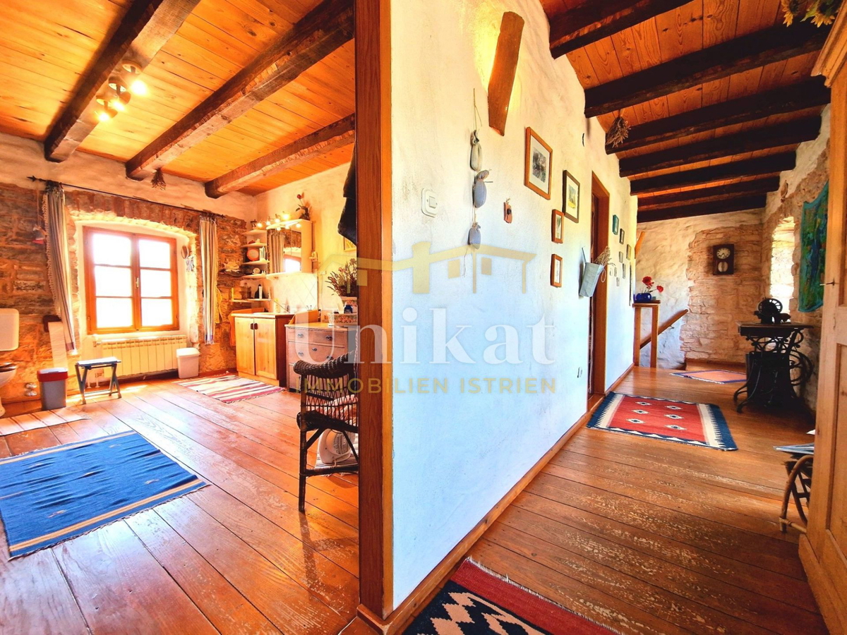 Avtentično posestvo s kamnito hišo in velikim zemljiščem